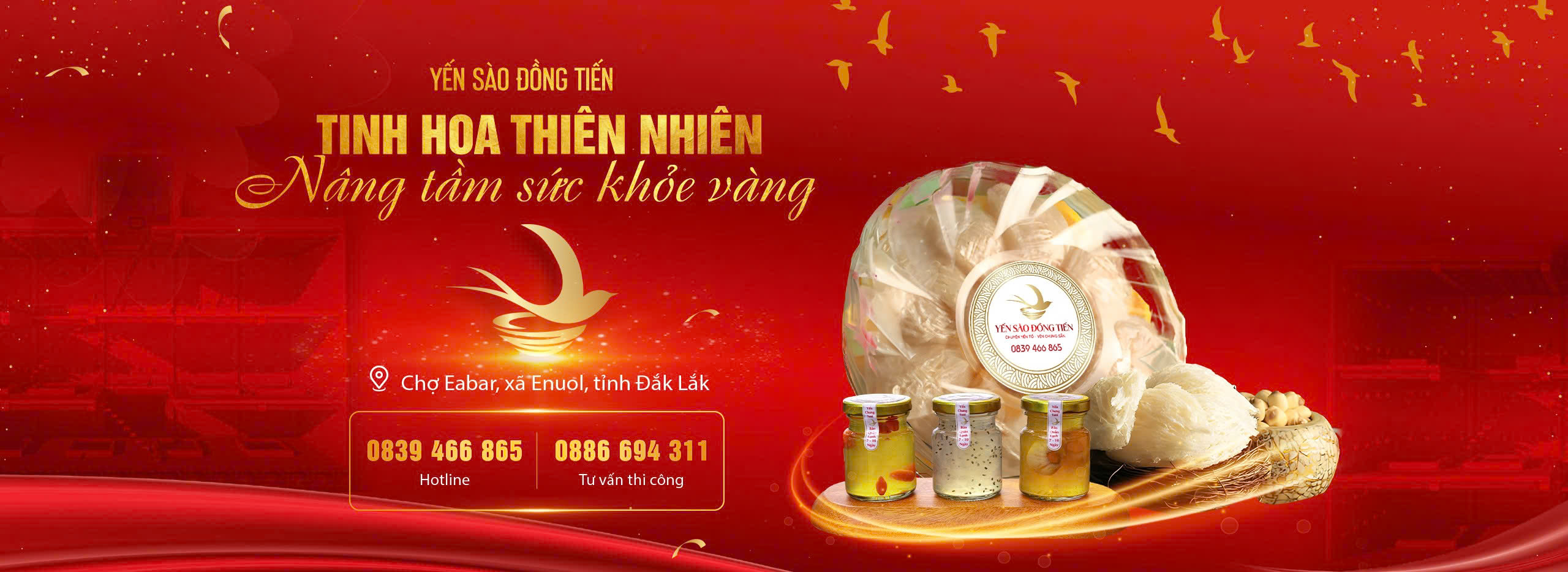 yến đồng tiến