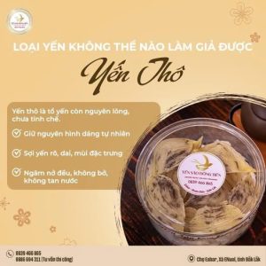 yến thô có giả không