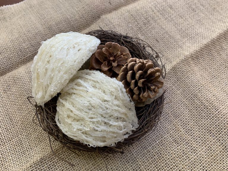 Mua yến sào làm quà tết